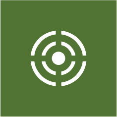 saas